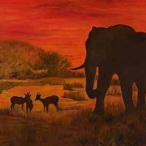 Wildlife in Africa